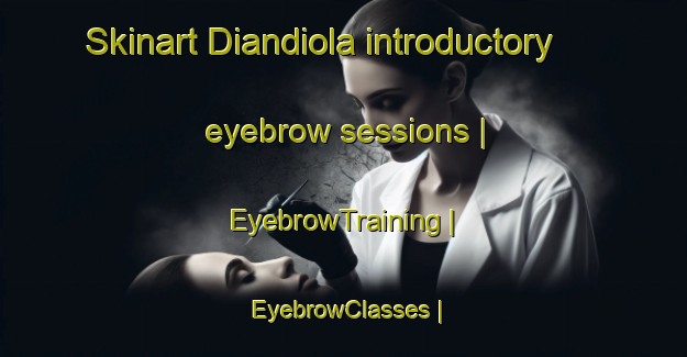 Skinart Diandiola introductory eyebrow sessions | EyebrowTraining | EyebrowClasses | SkinartTraining-Mali